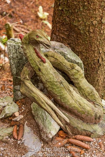 Scultura del Sentiero delle Espressioni
Schignano, Como, Italia

Panasonic Lumix LX100 II

Codice: 21.PA.2087