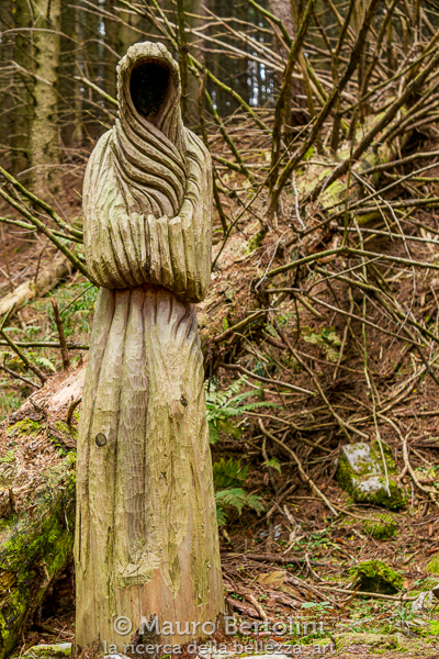 Scultura del Sentiero delle Espressioni
Schignano, Como, Italia

Panasonic Lumix LX100 II

Codice: 21.PA.2089