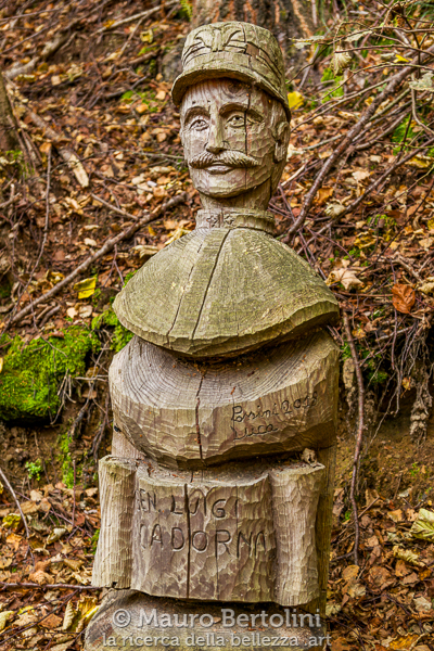 Scultura del Sentiero delle Espressioni dedicata alla Grande Guerra
Schignano, Como, Italia

Panasonic Lumix LX100 II

Codice: 21.PA.2107