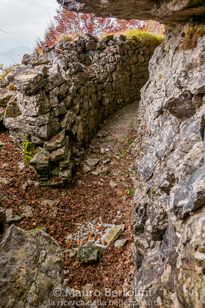 Trincea della Grande Guerra sul Sasso Gordona
Schignano, Como, Italia

Panasonic Lumix LX100 II

Codice: 21.PA.2122
