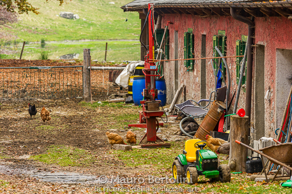 L'aia dell'Alpe Comana
Schignano, Como, Italia

Sony A7 III + Canon EF 70-200mm f/4L IS USM

Codice: 21.SA.4700