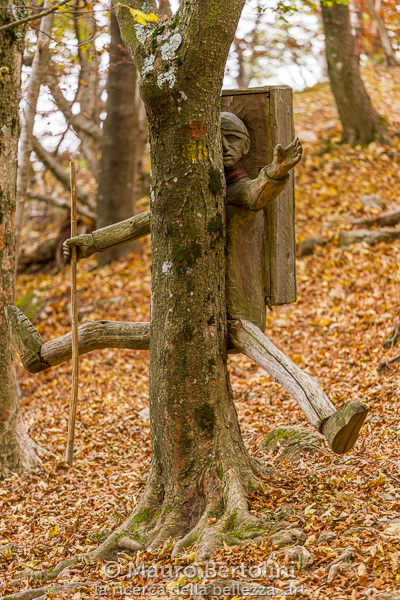 Scultura del Sentiero delle Espressioni
Schignano, Como, Italia

Sony A7 III + Canon EF 70-200mm f/4L IS USM

Codice: 21.SA.4704