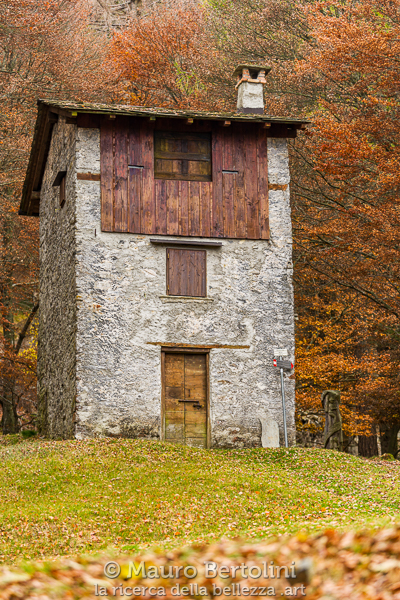 Roccolo del Messo
Schignano, Como, Italia

Sony A7 III + Canon EF 70-200mm f/4L IS USM

Codice: 21.SA.4711