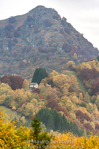 Foliage lungo i pendii del Sasso Gordona
Schignano, Como, Italia

Sony A7 III + Canon EF 70-200mm f/4L IS USM

Codice: 21.SA.4719