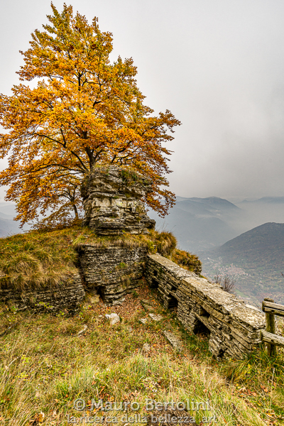Avamposto militare della Grande Guerra sul Sasso Gordona
Schignano, Como, Italia

Sony A7 III + Canon EF 16-35mm f/4L IS USM

Codice: 21.SA.4741