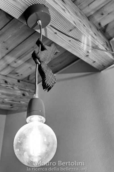 PiodaHaus B&B, lampadario con scoiattolo
Premia, Verbano-Cusio-Ossola, Italia

Panasonic Lumix LX100 II

Codice: 21.PA.2324