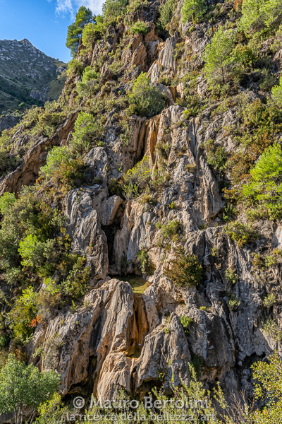 Formazioni rocciose di calcare vicino al Río Verde
Sierras del Parque Natural de Tejeda, Granada, Spagna

Sony A7 III + Canon EF 24-70mm f/4L IS USM

Codice: 19.SA.1406