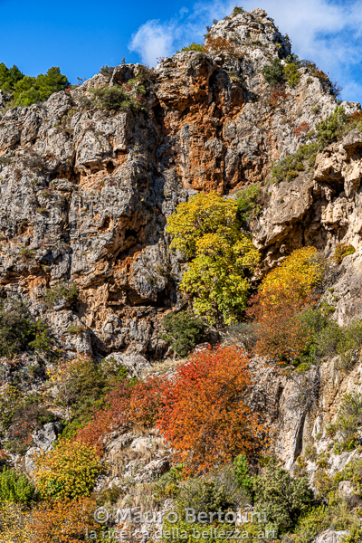 Formazioni rocciose di calcare vicino al Río Verde
Sierras del Parque Natural de Tejeda, Granada, Spagna

Sony A7 III + Canon EF 24-70mm f/4L IS USM

Codice: 19.SA.1412