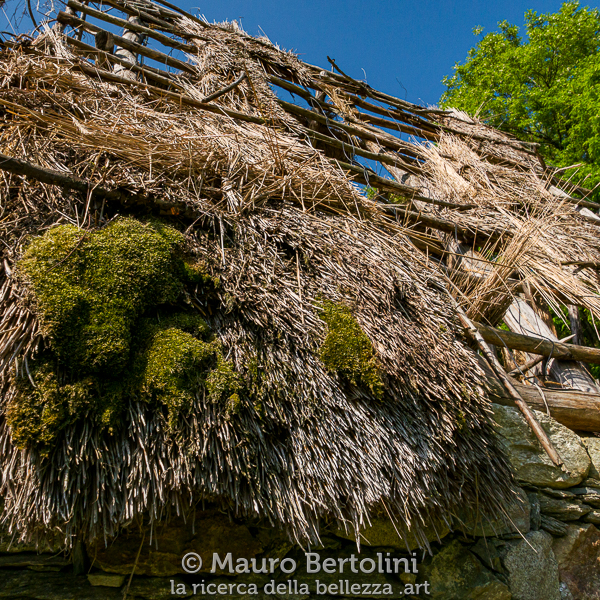 Dettaglio del tetto della Masun di Stazzona ricostruita secondo tradizione
Stazzona, Como, Italia

Panasonic Lumix LX100 II

Codice: 22.PA.2620