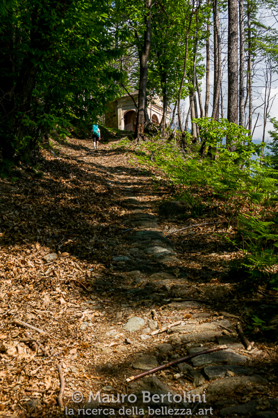 Mulattiera verso le Tre Cappelle di Sariva
Stazzona, Como, Italia

Panasonic Lumix LX100 II

Codice: 22.PA.2624