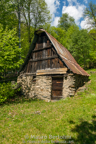 Masun a Germasino immersa nel verde del bosco
Germasino, Como, Italia

Panasonic Lumix LX100 II

Codice: 22.PA.2638