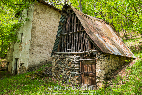 Masun e case rurali nei boschi di Germasino
Germasino, Como, Italia

Panasonic Lumix LX100 II

Codice: 22.PA.2645