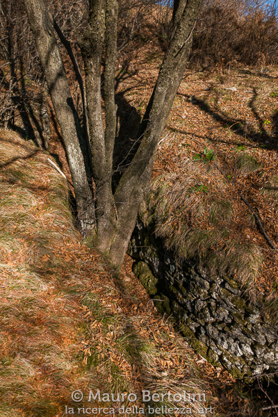 Trincea della Linea Cadorna sul Sasso San Martino
Griante, Como, Italia

Panasonic Lumix LX100 II

Codice: 23.PA.3340