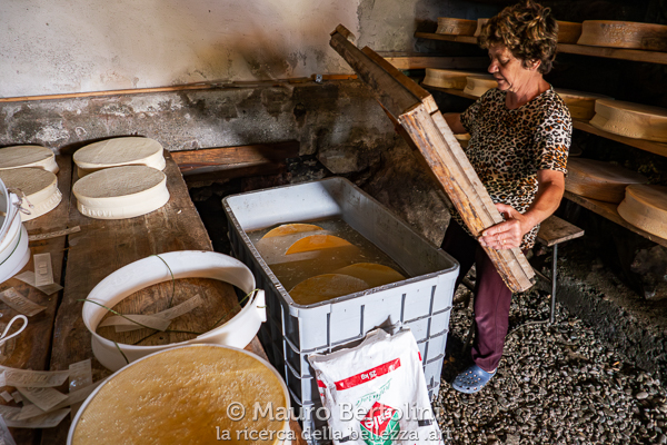 Produzione del Bitto presso l'Alpe di Trona Soliva Val Gerola, Sondrio, Italia Panasonic Lumix LX100 II Codice: 23.PA.3668