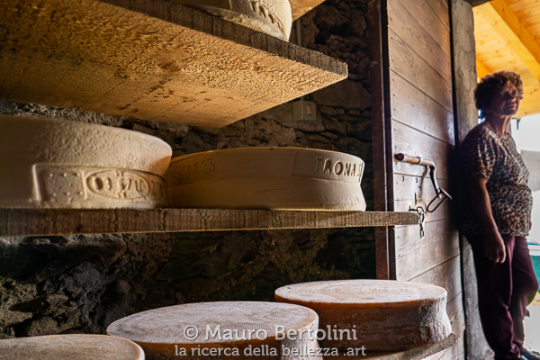 Stagionatura del Bitto presso l'Alpe di Trona Soliva Val Gerola, Sondrio, Italia Panasonic Lumix LX100 II Codice: 23.PA.3673