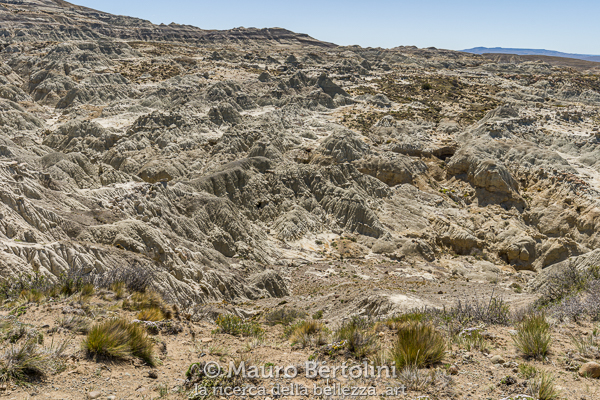 Paesaggio presso il Bosque Petrificado La Leona
Santa Cruz, Argentina

Sony A7 III + Canon EF 16-35mm f/4L IS USM

Codice: 23.SA.8328