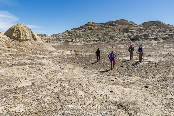 Paesaggio presso il Bosque Petrificado La Leona
Santa Cruz, Argentina

Sony A7 III + Canon EF 16-35mm f/4L IS USM

Codice: 23.SA.8329