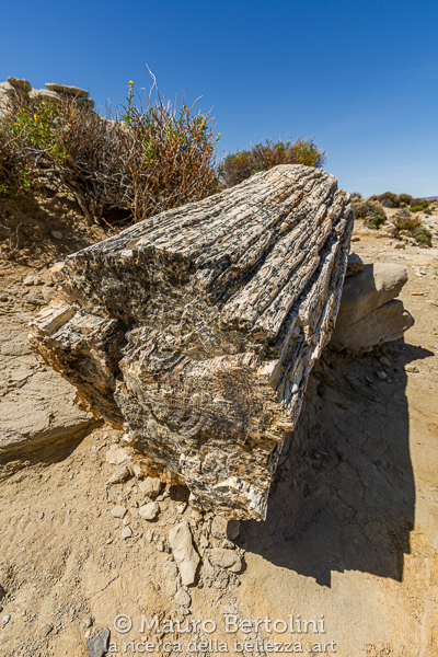Tronco pietrificato presso il Bosque Petrificado La Leona
Santa Cruz, Argentina

Sony A7 III + Canon EF 16-35mm f/4L IS USM

Codice: 23.SA.8370