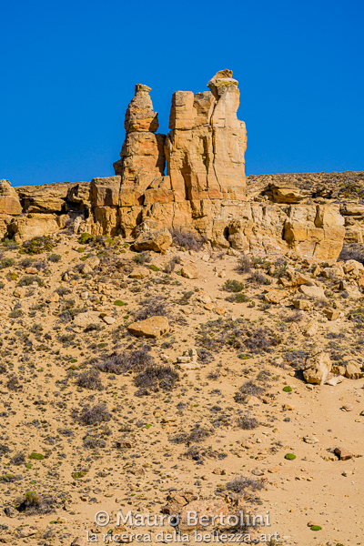 Formazioni rocciose lungo la Ruta 40
Santa Cruz, Argentina

Sony A7 III + Sony FE 200-600mm f/5.6-6.3 G OSS

Codice: 23.SB.4079