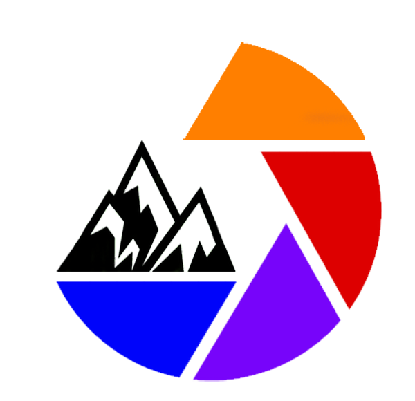 La ricerca della bellezza