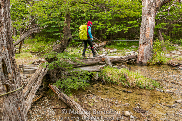 Attraversamento su tronchi lungo il sentiero per il Lago Eléctrico
El Chaltén, Santa Cruz, Argentina

Panasonic Lumix LX100 II

Codice: 23.PA.4151
