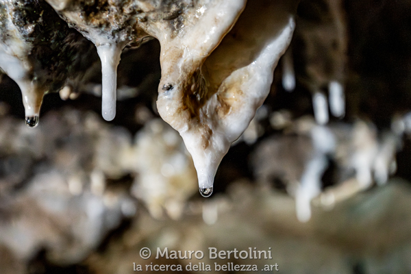 Miniera Gaffione, piccole stalattiti in fase di crescita lungo le volte della miniera Schilpario, Bergamo, Italia Sony A7 III + Canon EF 16-35mm f/4L IS USM Codice: 25.SA.9550